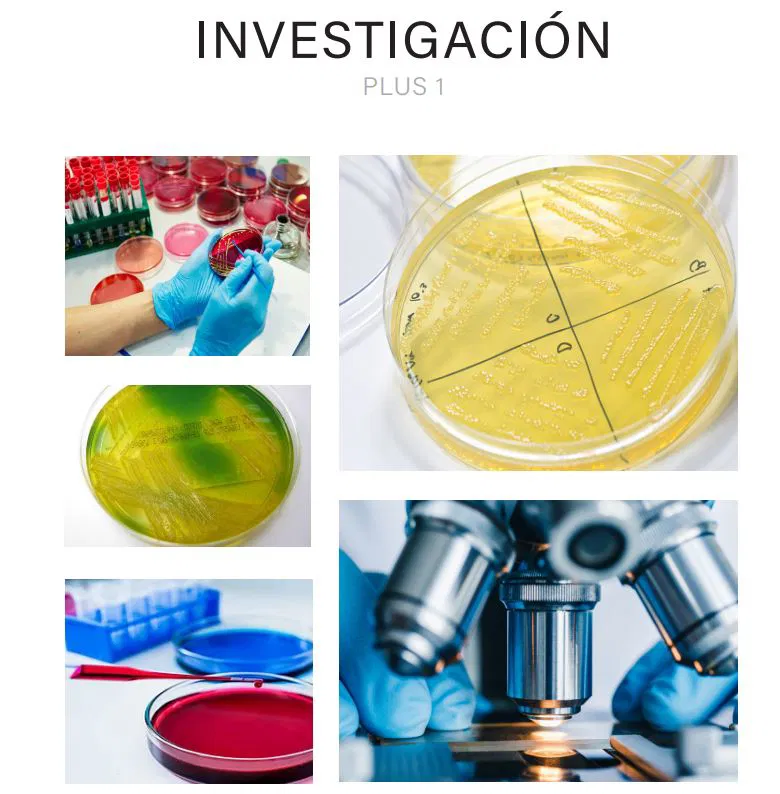 Bacteria Plus 2