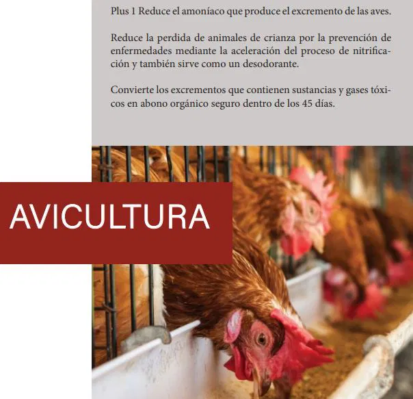 Bacteria Plus 9